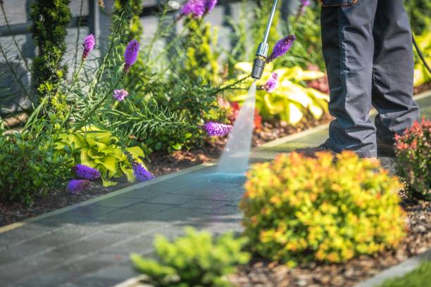 Best Animal Enclosure Cleaning  in Normandy, MO