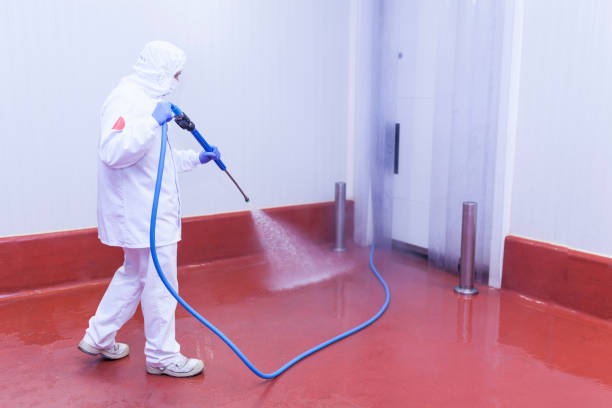 Best Paint Preparation  in Normandy, MO